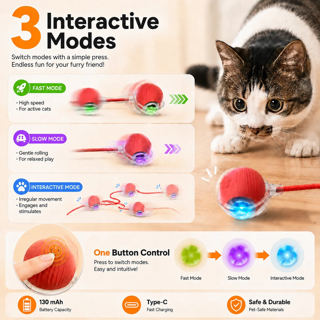 Interactive Rolling Cat Ball