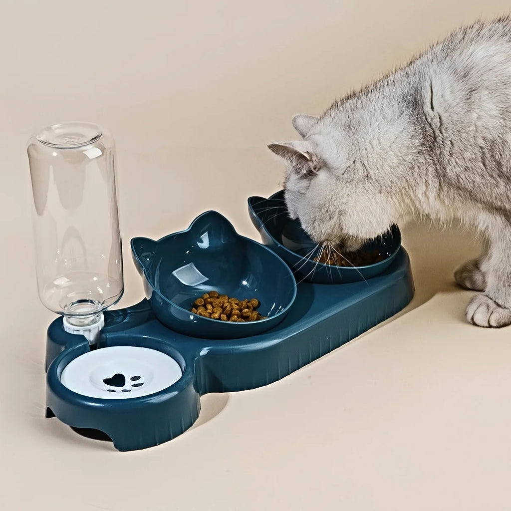 3-in-1 Pet Feeding Bowl