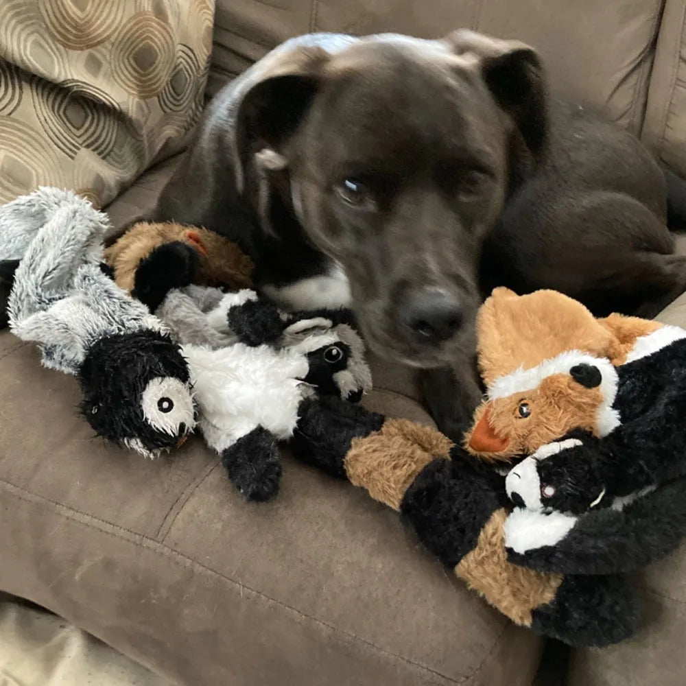 Stuffing-Free Squeaky Pet Toy