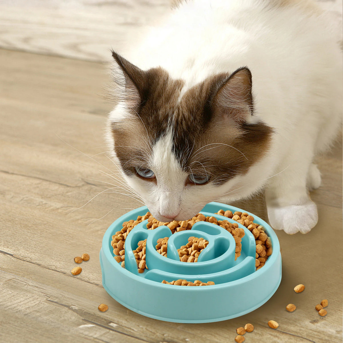 Slow Feeder Pet Bowl