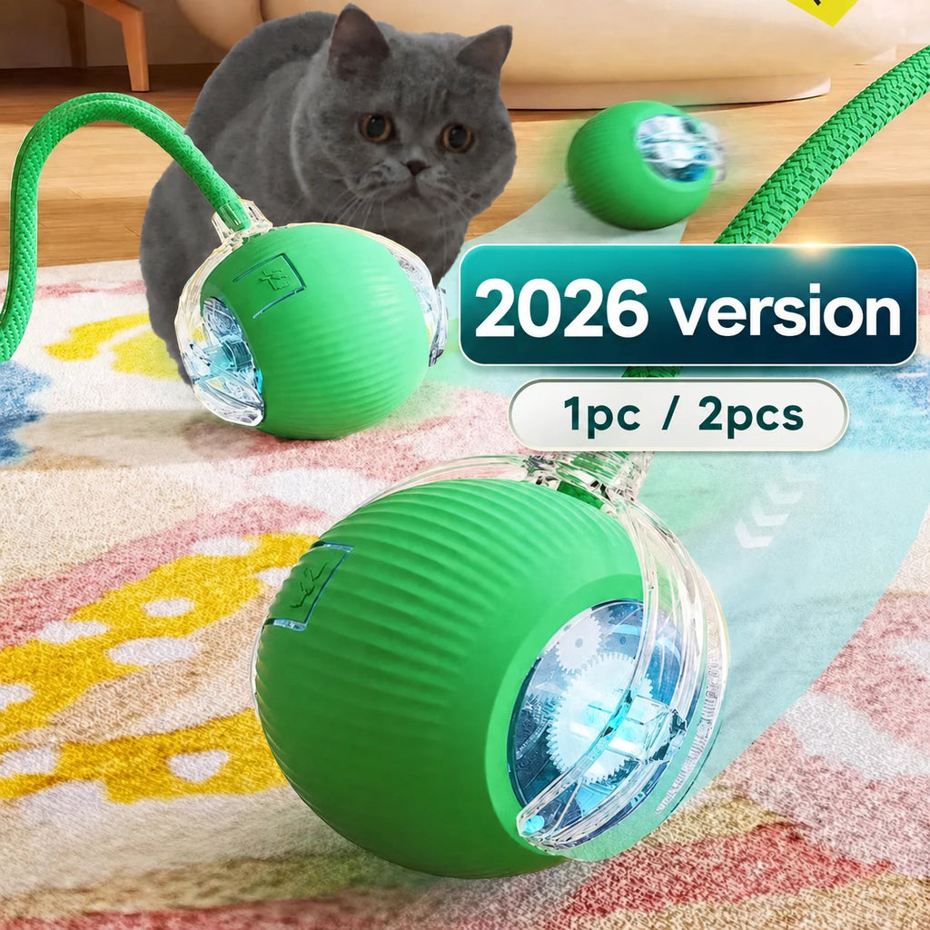 Interactive Rolling Cat Ball